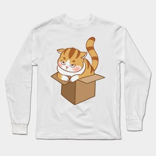 Orange cat in the box Long Sleeve T-Shirt